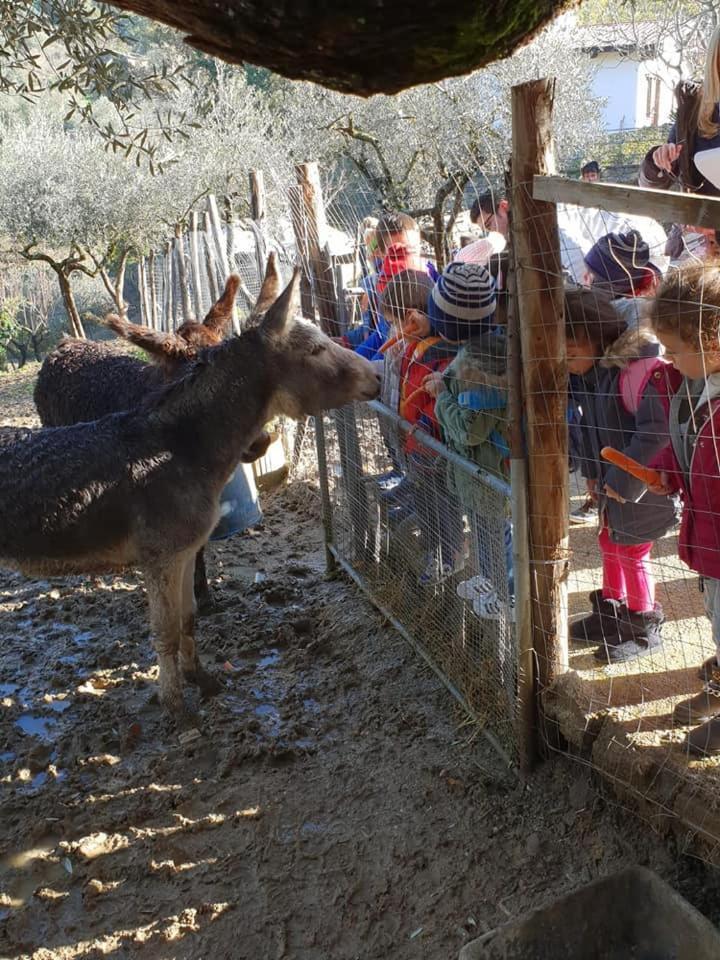Tenuta Martino Aquara Esterno foto